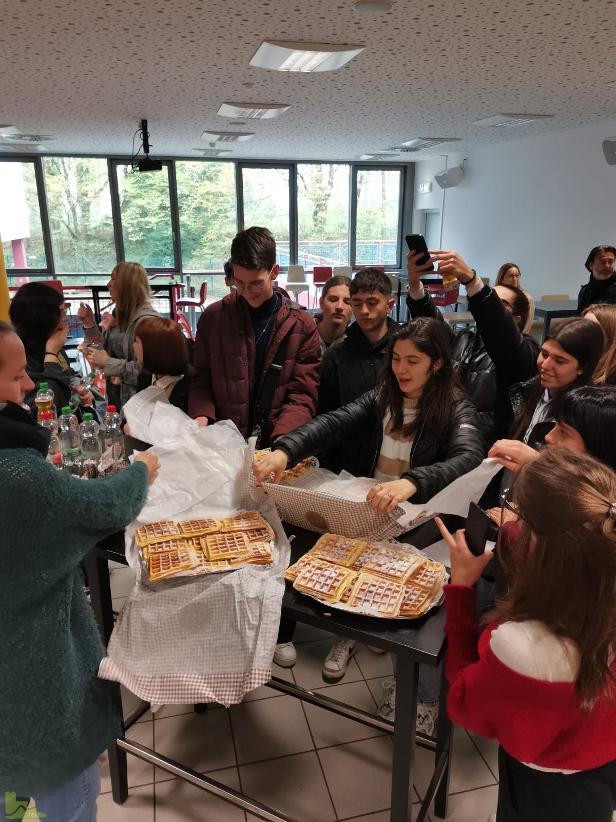 Schüleraustausch Hardenstein-Gesamtschule (Witten) mit dem Liceo Marconi (Pescara)