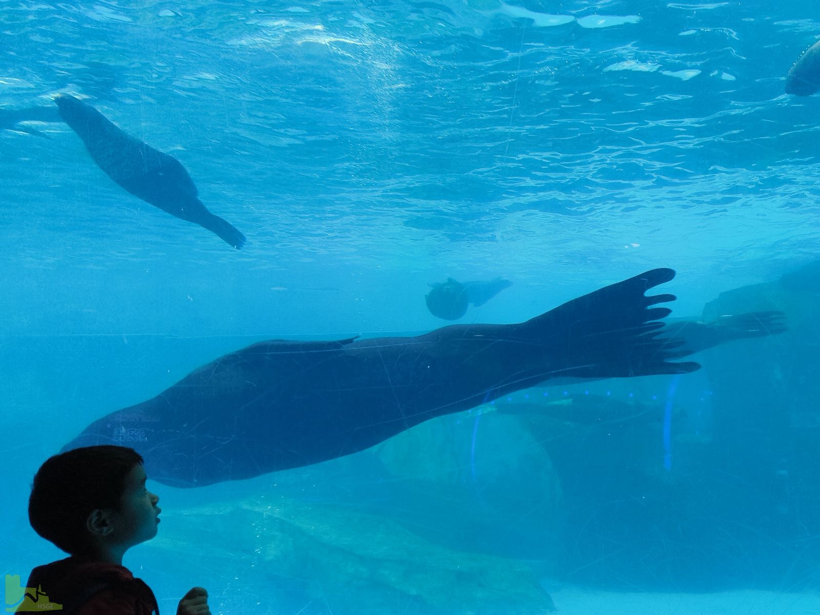 Schüleraustausch der Hardenstein-Gesamtschule: Zwei Wochen zwischen Gastfamilie, Unterricht und Kulturprogramm in China