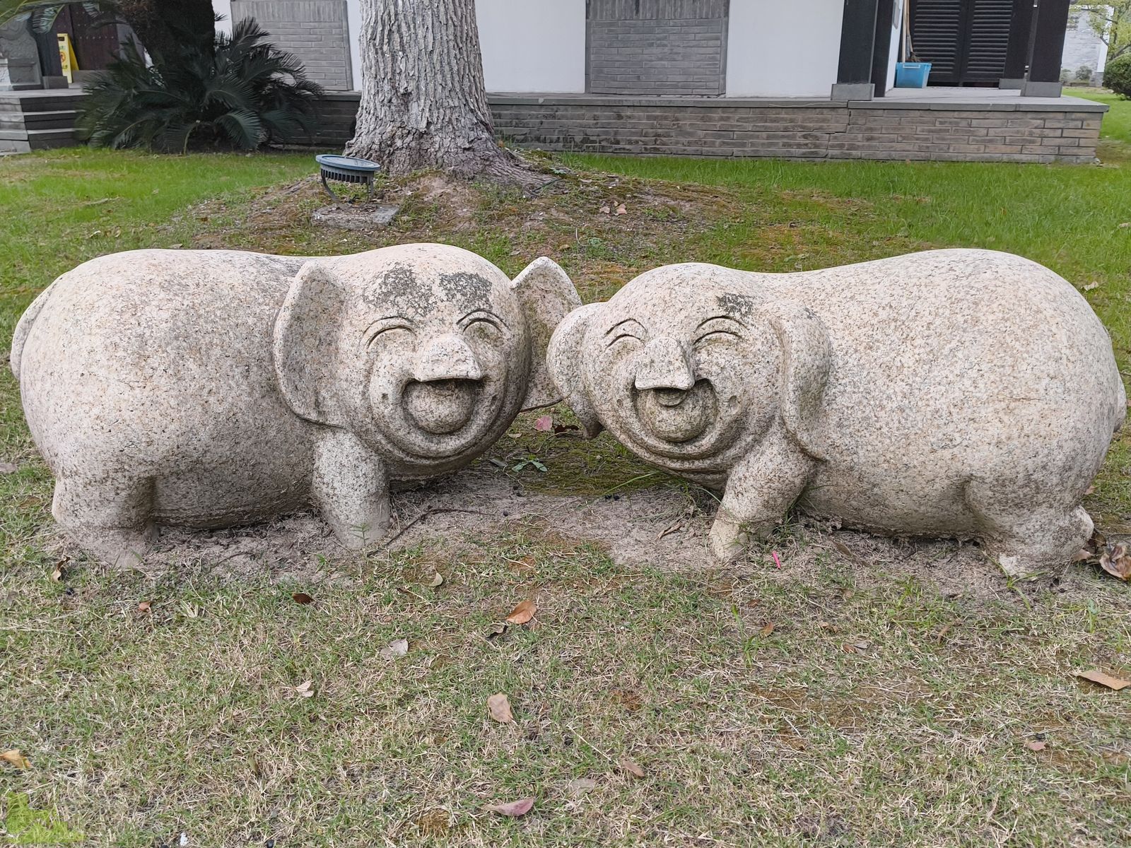 Schüleraustausch der Hardenstein-Gesamtschule: Zwei Wochen zwischen Gastfamilie, Unterricht und Kulturprogramm in China