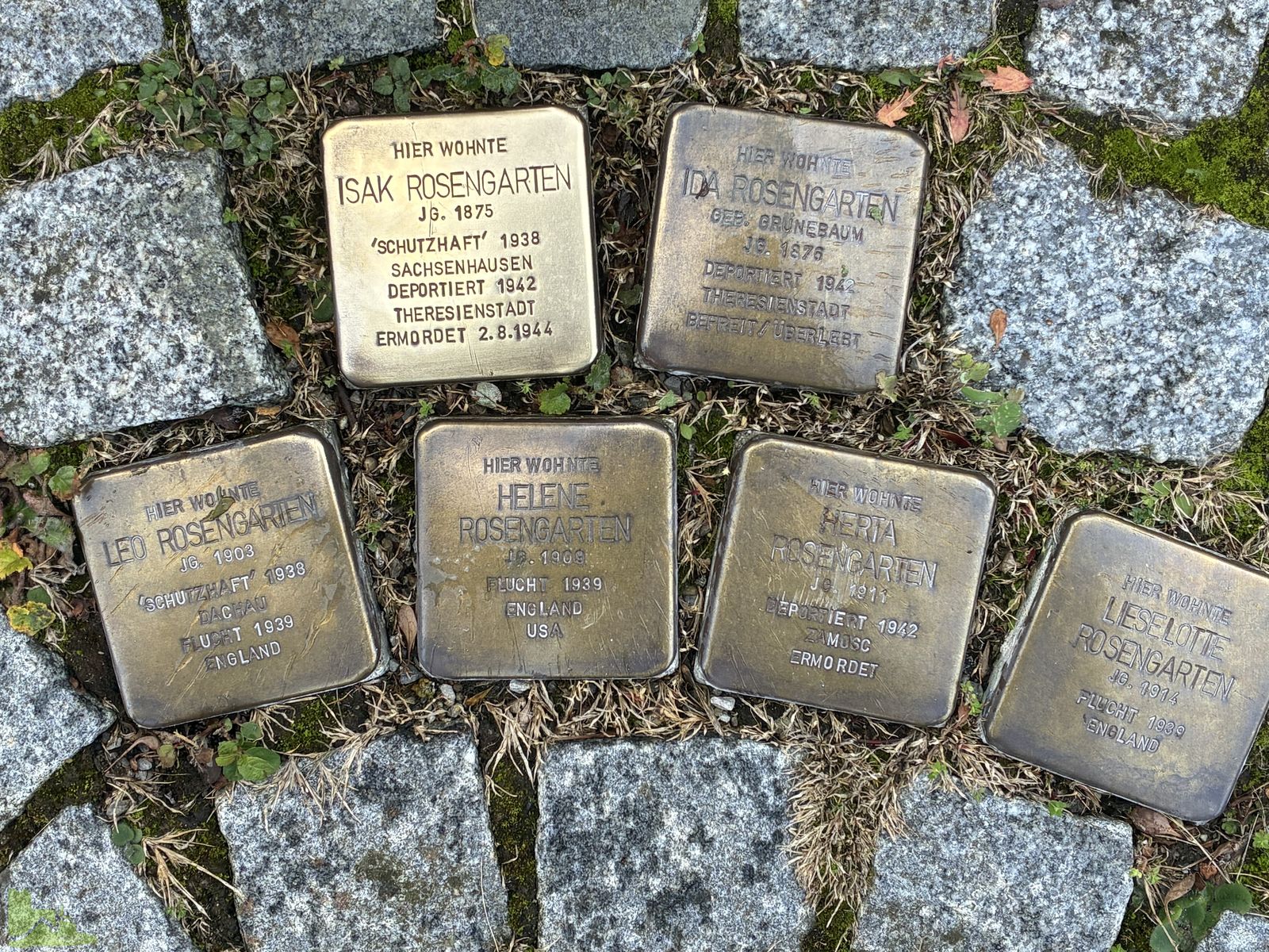 Erinnerung an die Reichspogromnacht – Wider das Vergessen