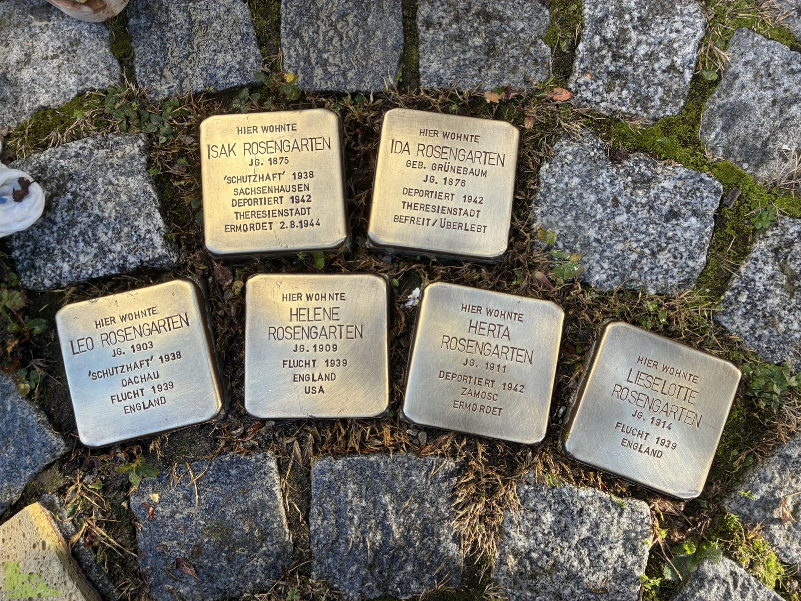 Erinnerung an die Reichspogromnacht – Wider das Vergessen